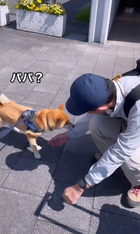 紋次郎くんとお父さんの再会3