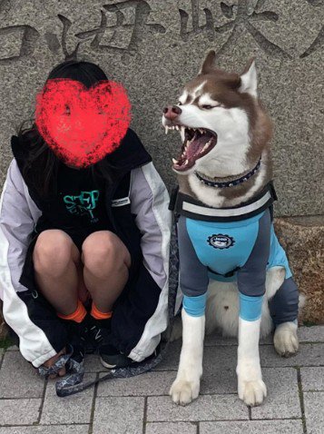 ハイポーズ！！