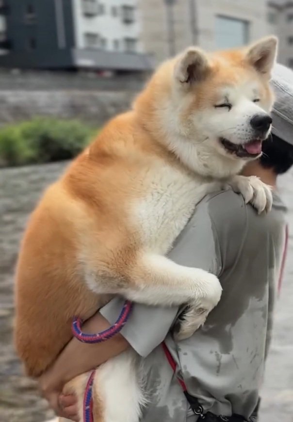 目を細めるおはるちゃん