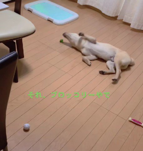 遊び相手は…
