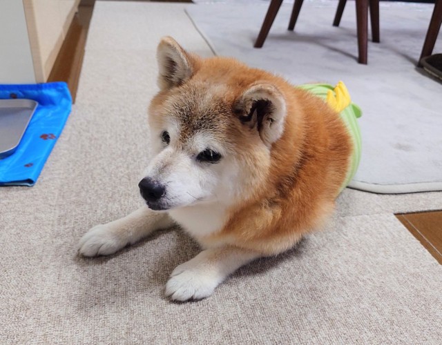 穏やかに