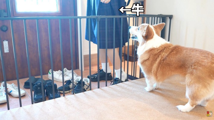 翌朝はお見送りしてくれました♪