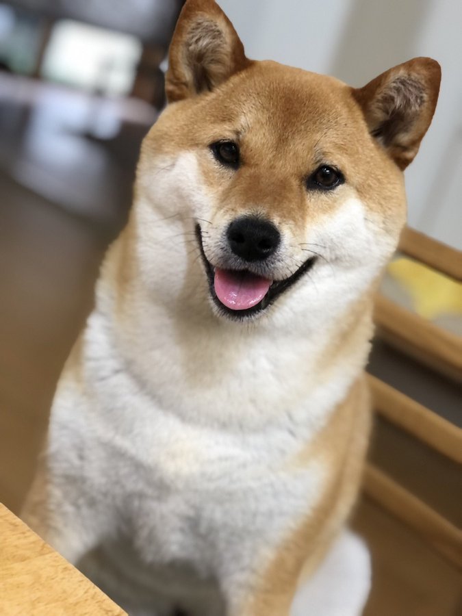 ニコニコ