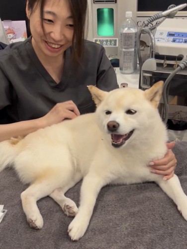 先生と柴犬の掛け合い4