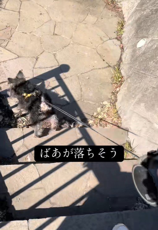 無事に階段の下に到着！