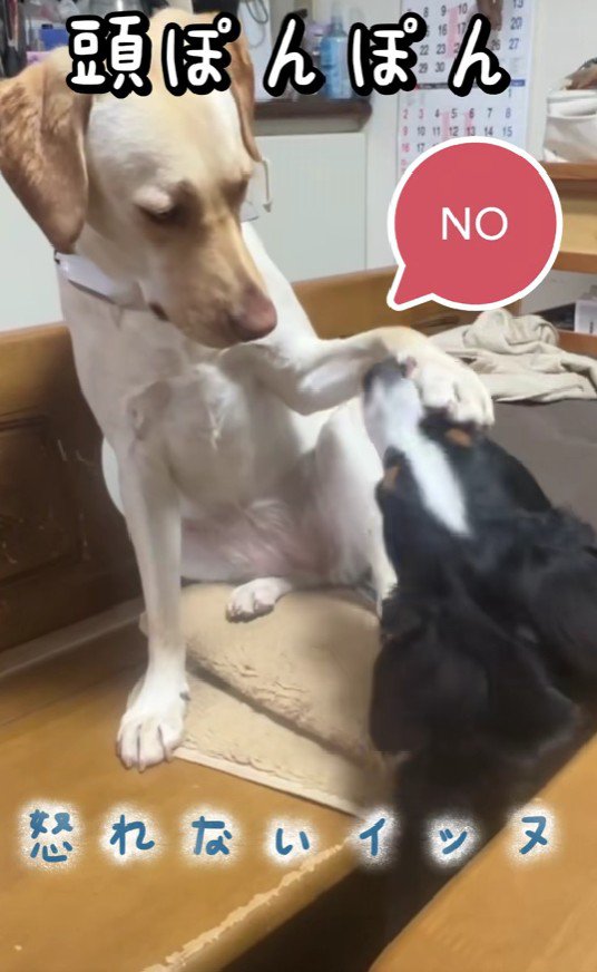 頭をポンポン♪