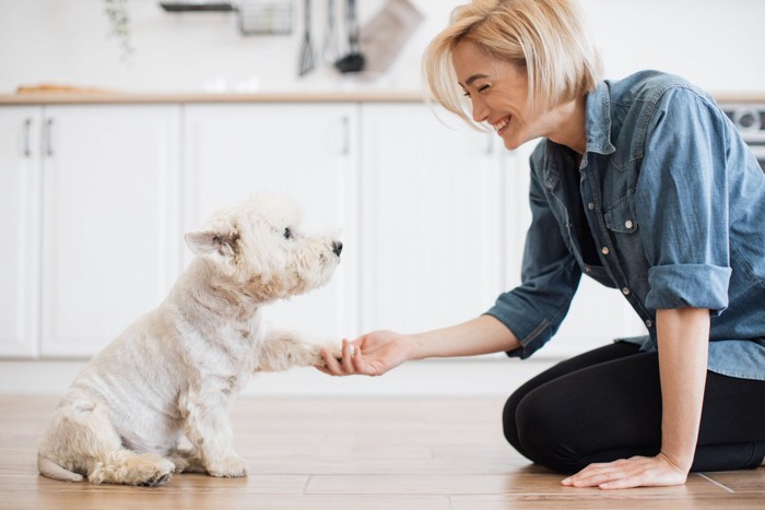 女性にお手をする白い犬