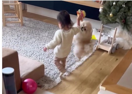 おもちゃを持っている子供の横に犬
