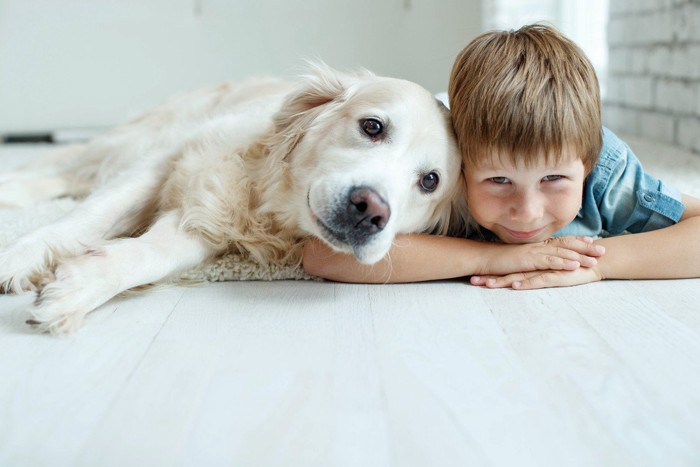 犬と子供