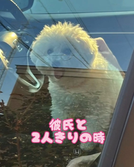 彼氏とふたりきりのもこちゃん