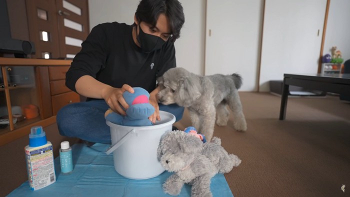 洗濯する男性と犬