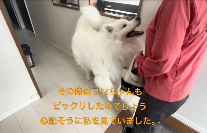 嬉しそうに足元を歩き回るセブンちゃん