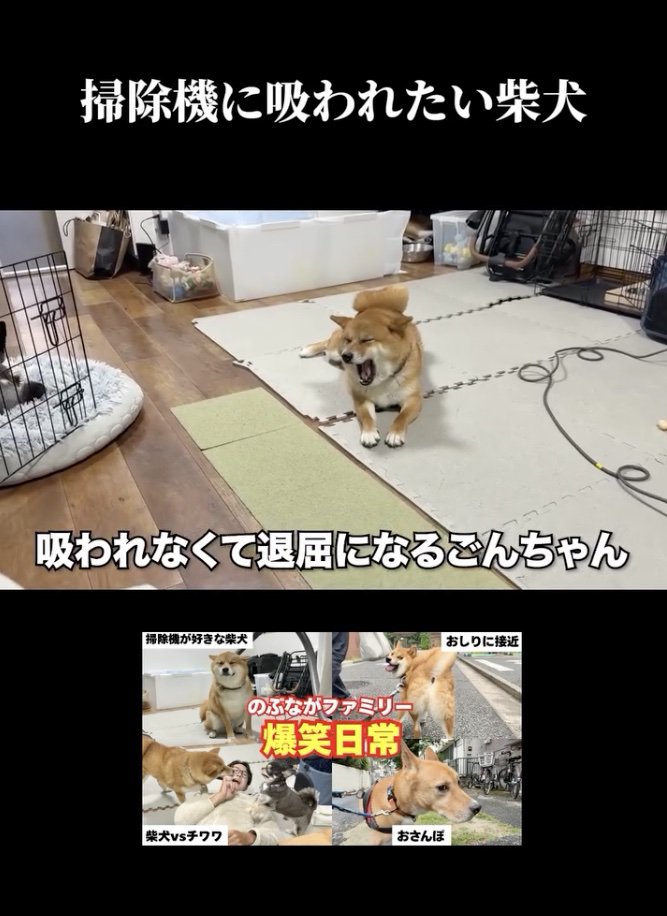 ドァァァァァ