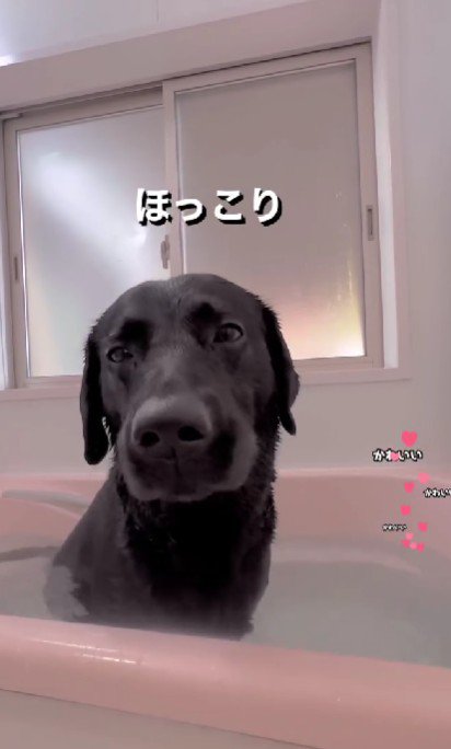 「いい気持ち～」