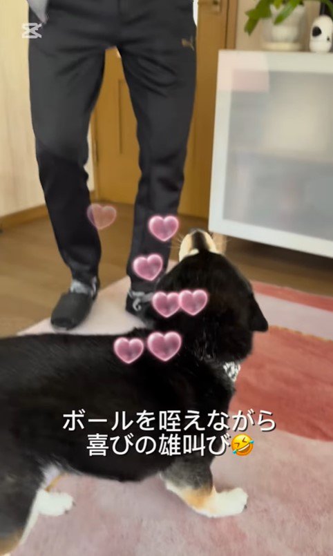 あずきちゃんとお父さんの再会4