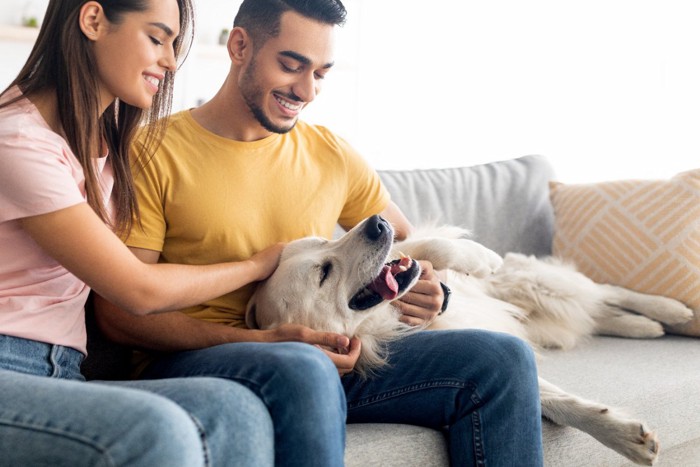 カップルに撫でられて嬉しそうな犬