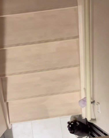 ここまるちゃんがいる!
