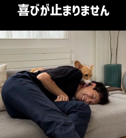 男性の上に乗って男性の顔を舐める犬