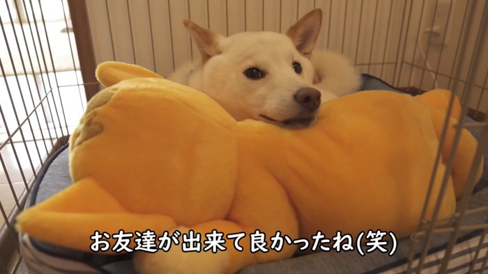 満更でもなさそう♪