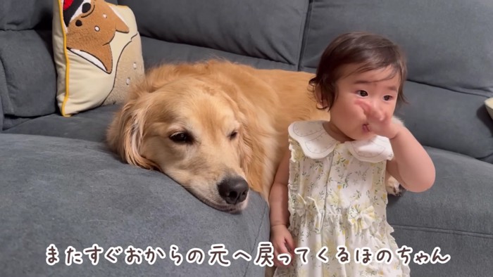 ほのちゃんの愛情表現は…