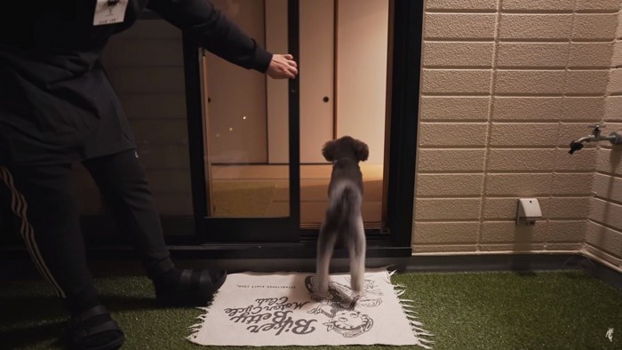 窓を開ける男性と犬