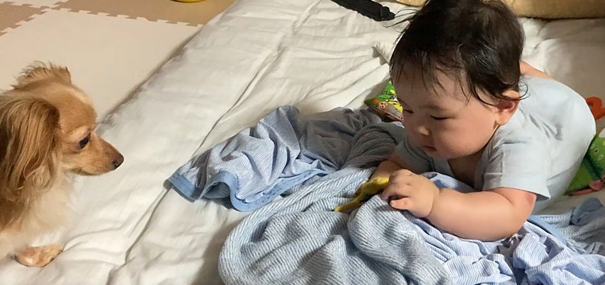 おもちゃで遊んでいると…