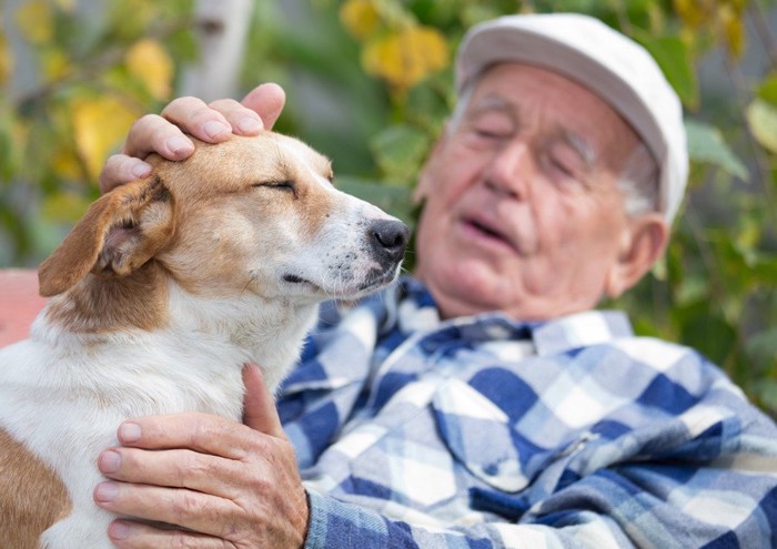 老紳士と犬