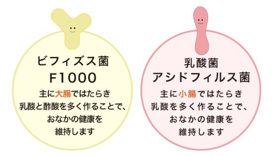 善玉菌の役割イメージ