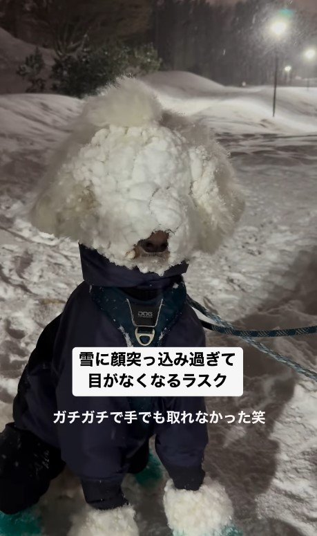 雪国あるある！？