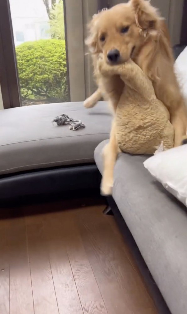 嬉しさ全開