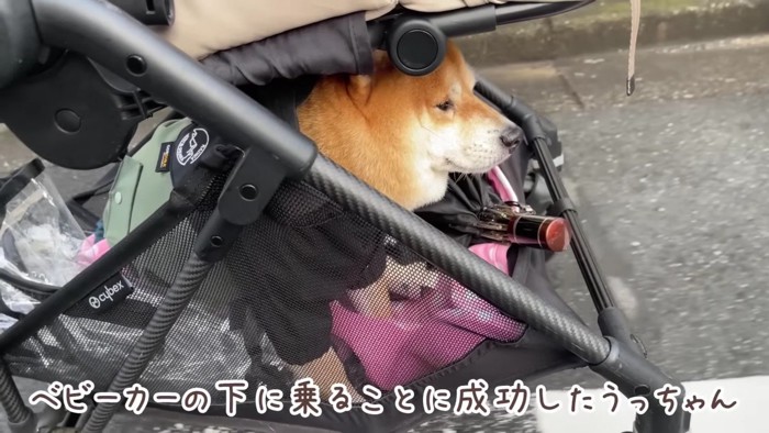 うにくんの定位置