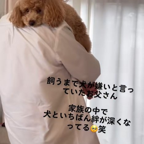 飼い主に抱かれている小型犬