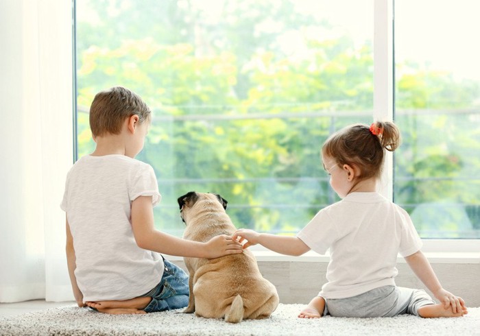 子どもたちに撫でられる犬