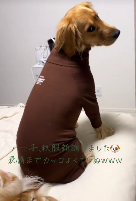 「こんな表情はどう？」