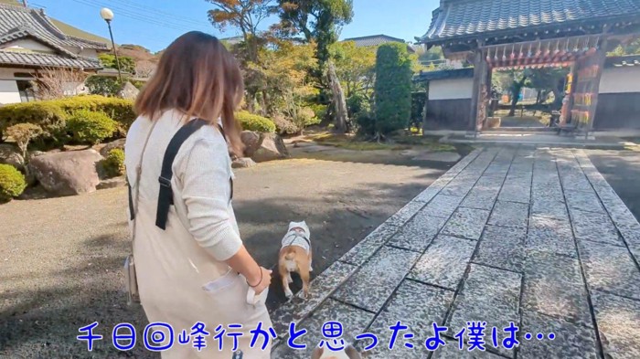 お寺の出口へ向かって歩きながら女性に話しかける男性