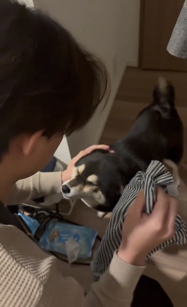 頭を差し出す犬