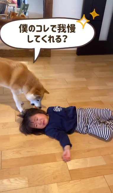 「僕のおもちゃでもいい?」