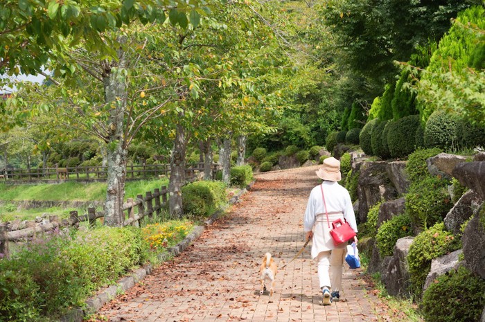 緑の景色の中を散歩する飼い主と犬