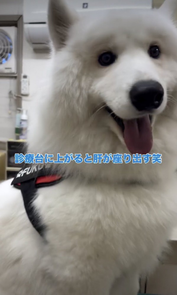 「終わったぜぇ」