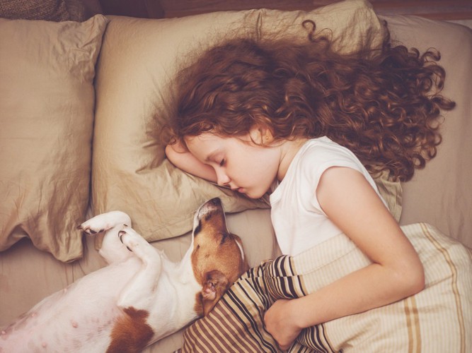 女の子と犬