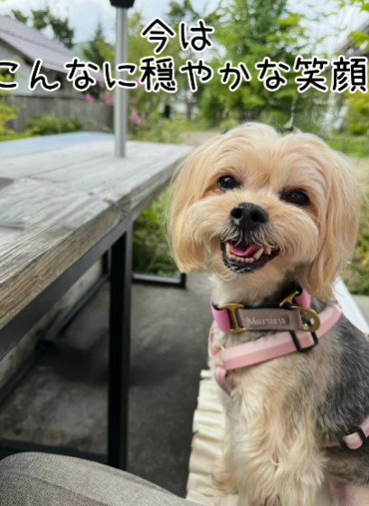 満面の笑みを見せてくれるように