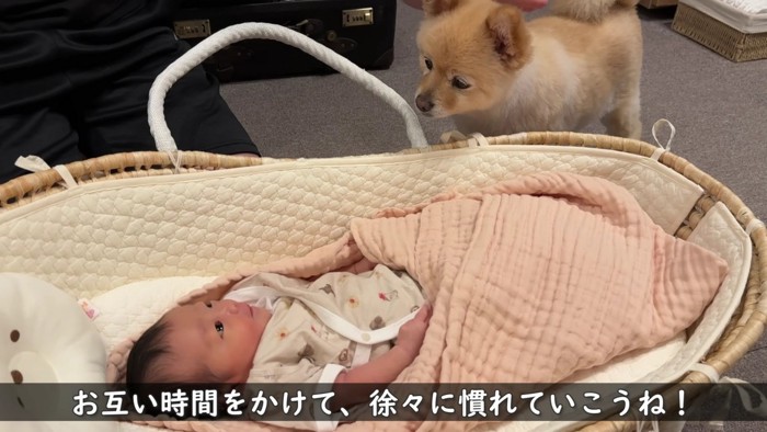 妹が気になって仕方ない
