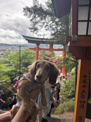 記念撮影