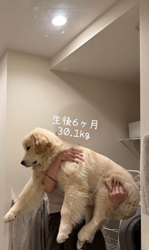 ぴの君の成長6