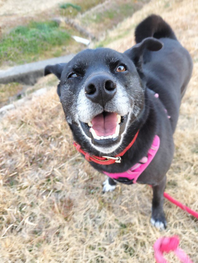 笑顔はチャーミング♡