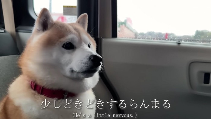 「ドキドキしてきた…」