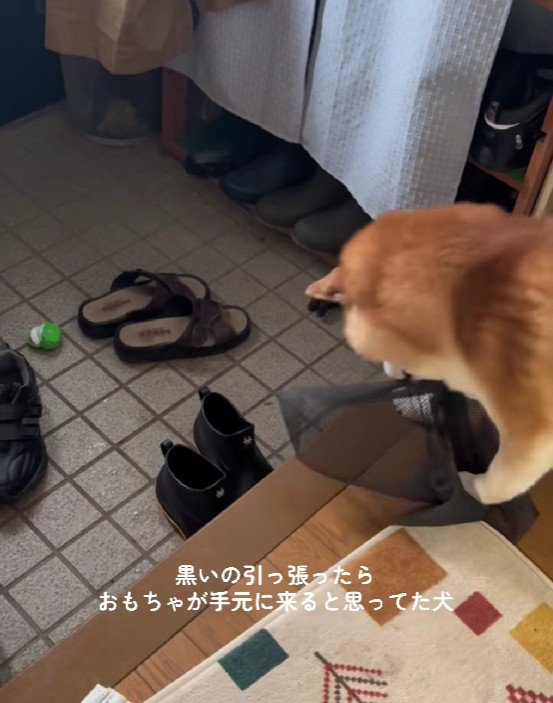 上手に布を引き寄せる