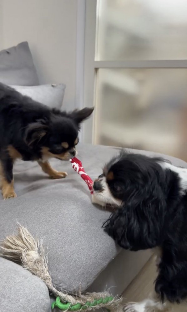 戦いは続いてた