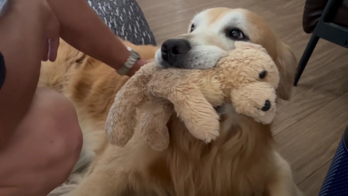 「まったくもう…」