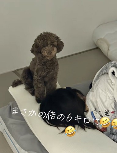 予想の倍の大きさに！